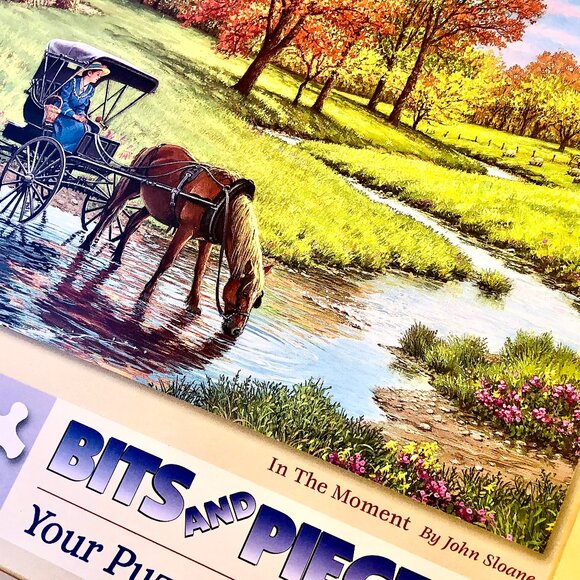 Bits & Pieces Puzzle Lot of 4 Puzzles 500 Pieces Scenery Horses Deer Ducks Birds - Picture 9 of 11